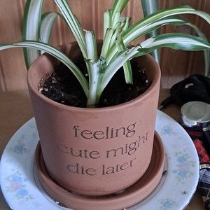 Meet your Posher, Ali